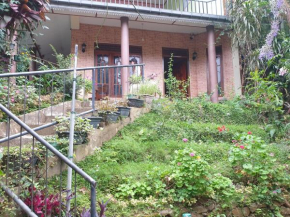 City Green Homestay